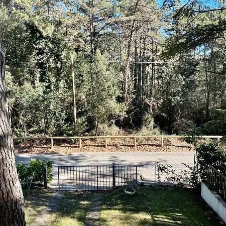 Apartment Antonietta 3, Tra Pineta E Mare