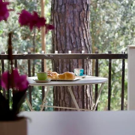 Antonietta 3, Tra Pineta E Mare *