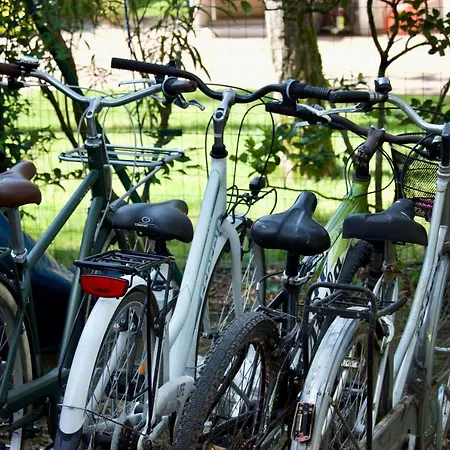 Antonietta 3, Tra Pineta E Mare