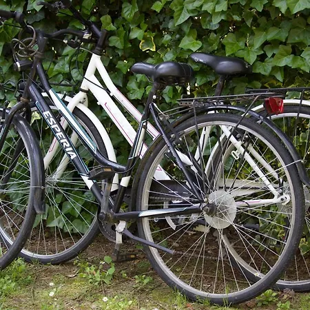 Apartment Antonietta 3, Tra Pineta E Mare