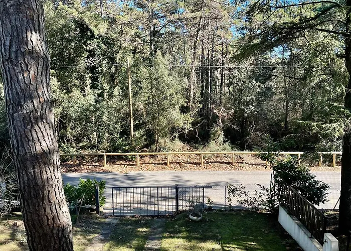 Apartman Antonietta 3, Tra Pineta E Mare