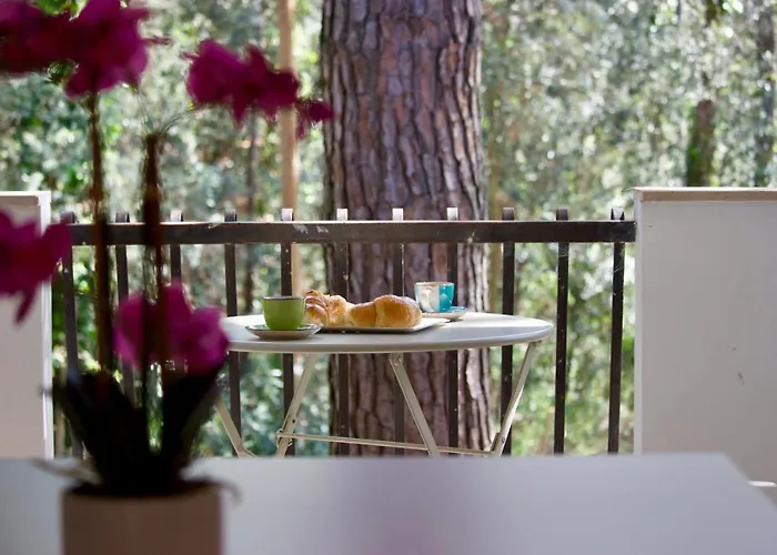 Antonietta 3, Tra Pineta E Mare *