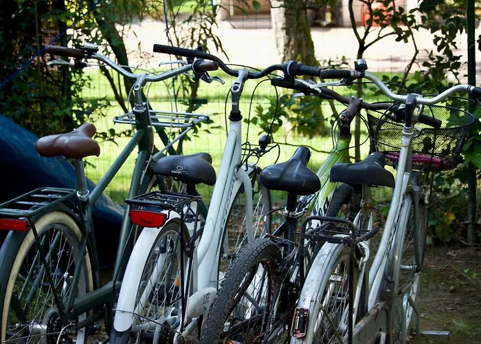 Antonietta 3, Tra Pineta E Mare